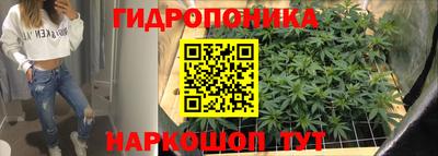 соль ск Кулебаки
